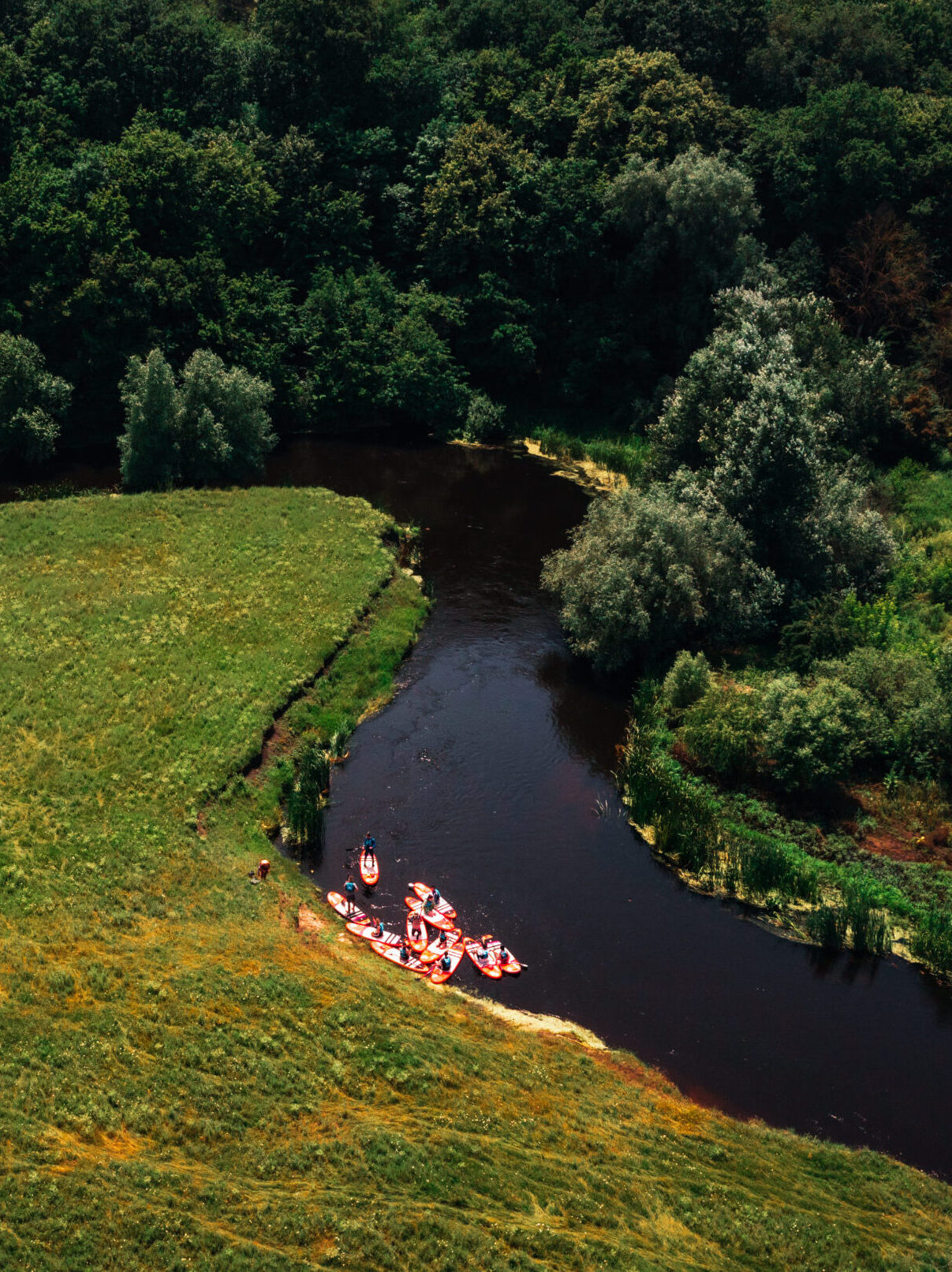 River SUP, Delta Neajlovului (Comana)